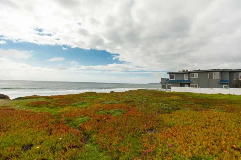 Links to Striking Oceanfront