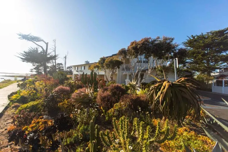 Links to Back Bay Inn