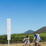 Wine Country Biking