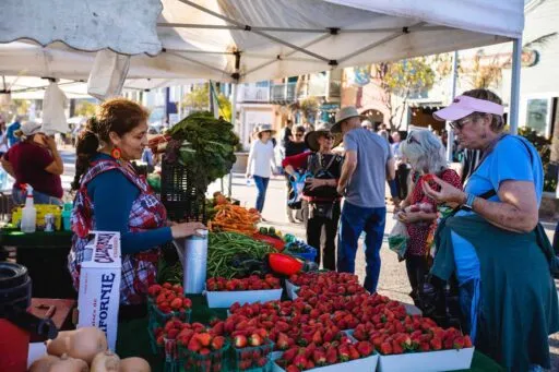 Farmers Market Avila Beach