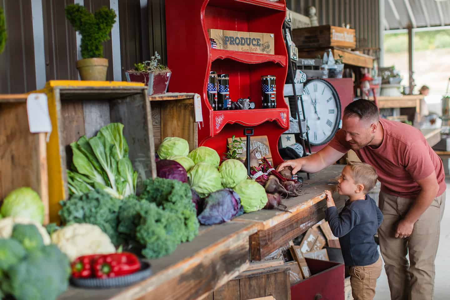 Peacock Farms