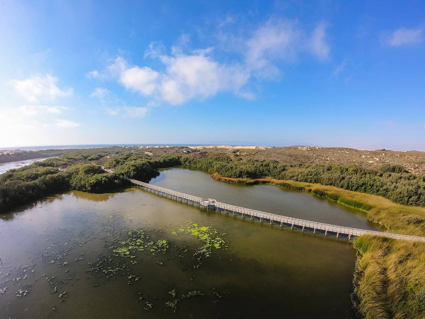 Oso Flaco Lake and Boardwalk