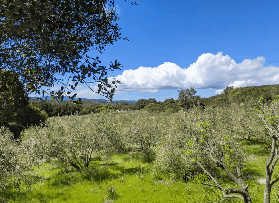 Tiber Canyon Ranch