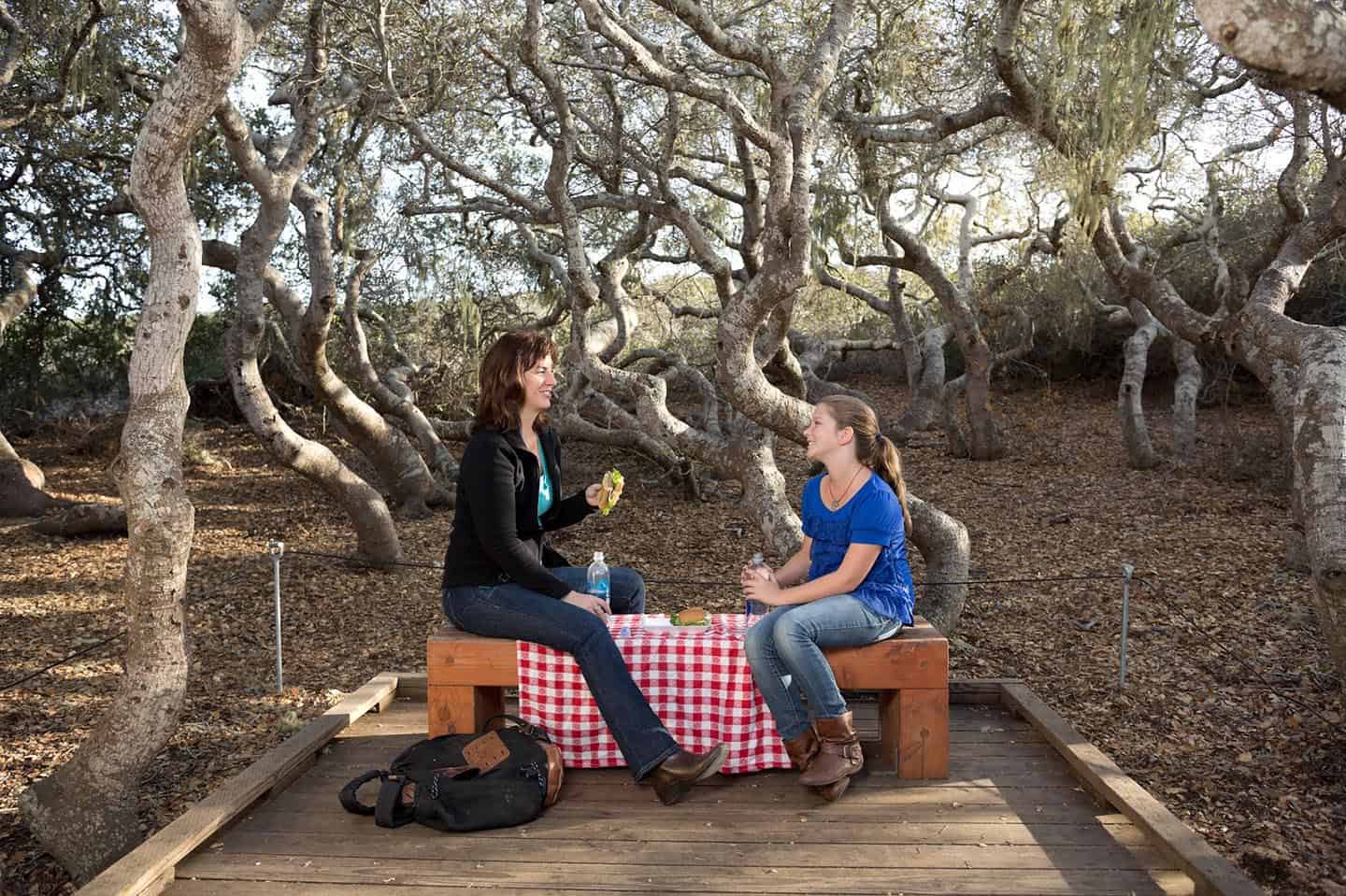 Elfin Forest Morro Bay