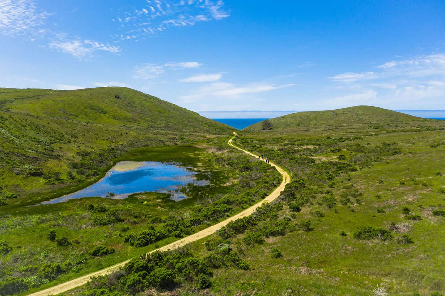 Harmony Headlands