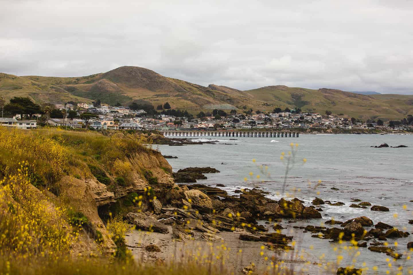 Cayucos Estero Bluffs