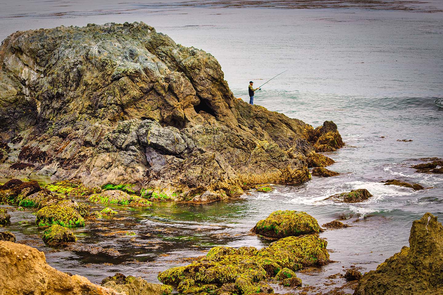 Fishing Estero Bluffs