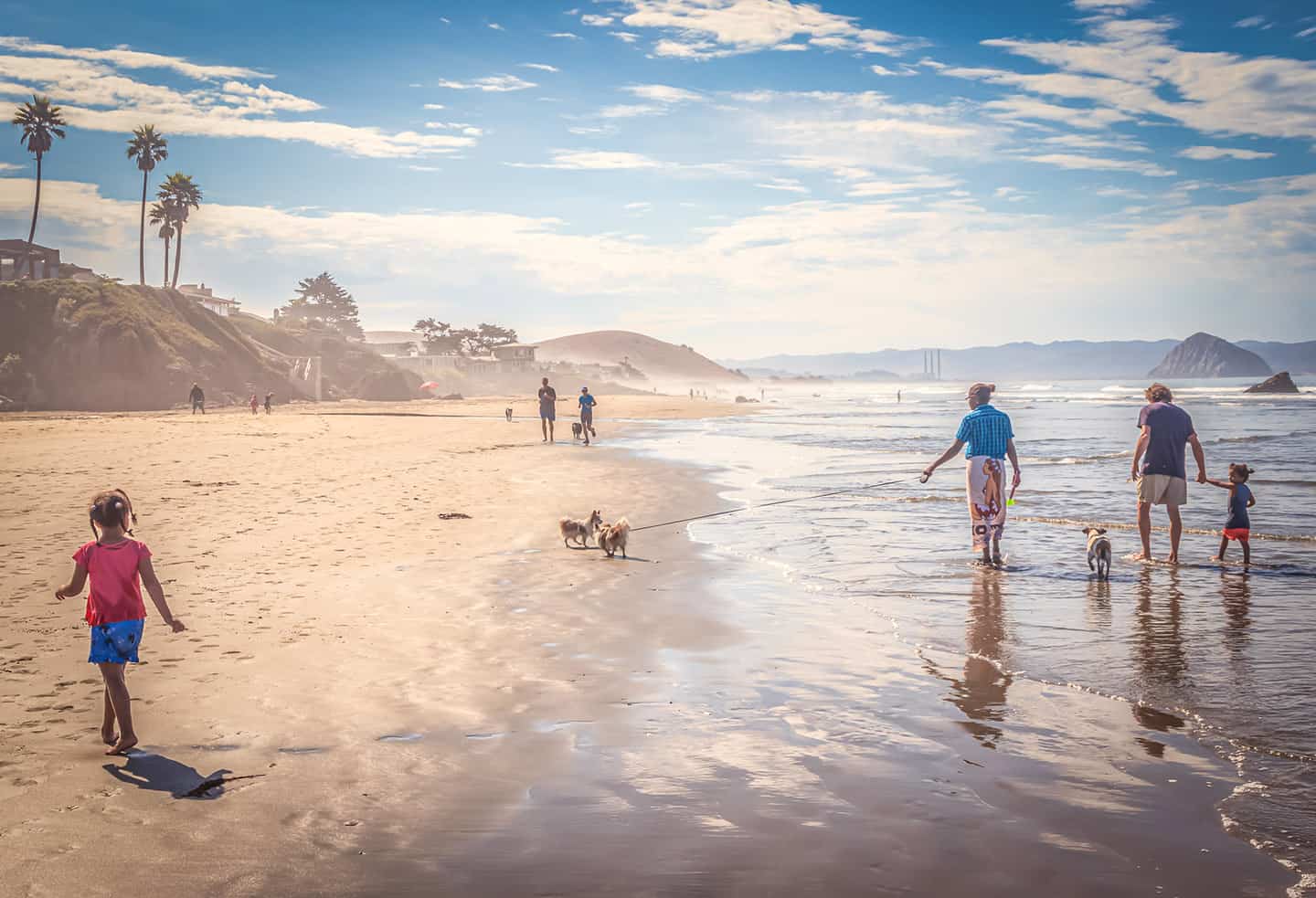 Cayucos Dog Beach