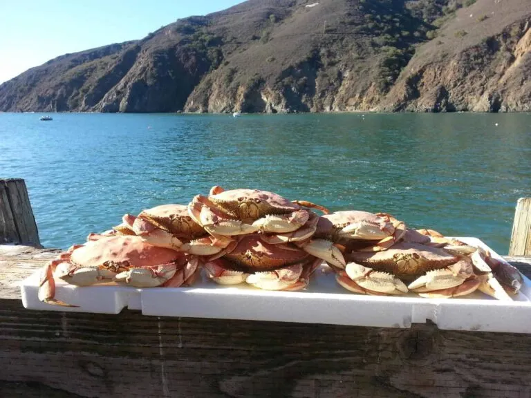 Links to Olde Port Fresh Seafood Market & Grill