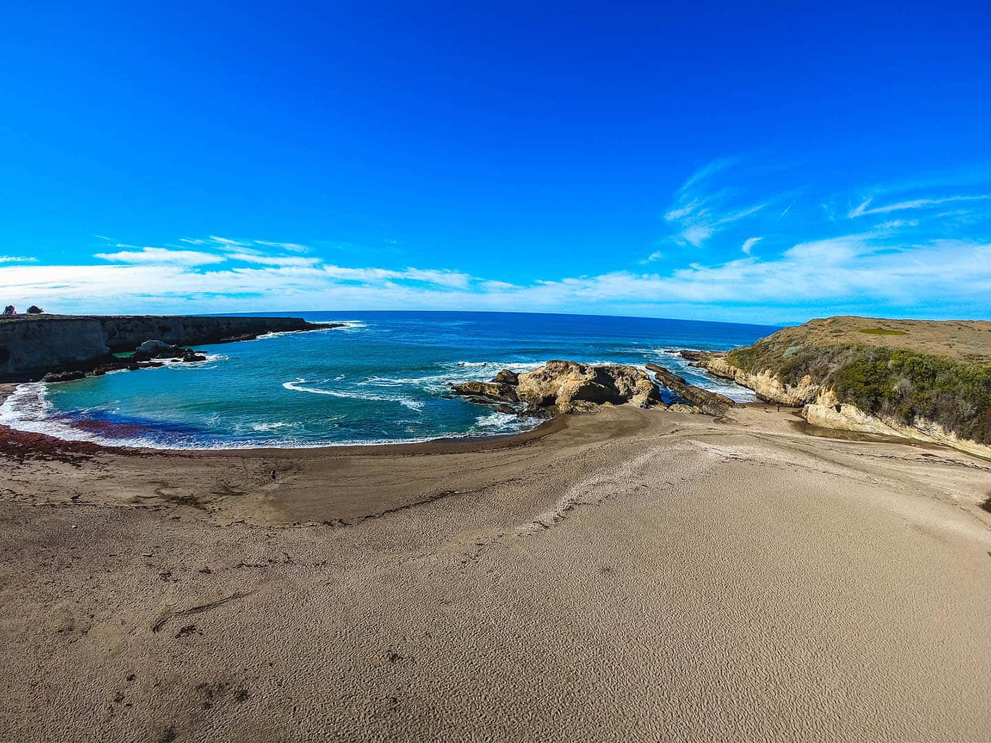 File:Star Fish at Montana de Oro.JPG - Wikipedia