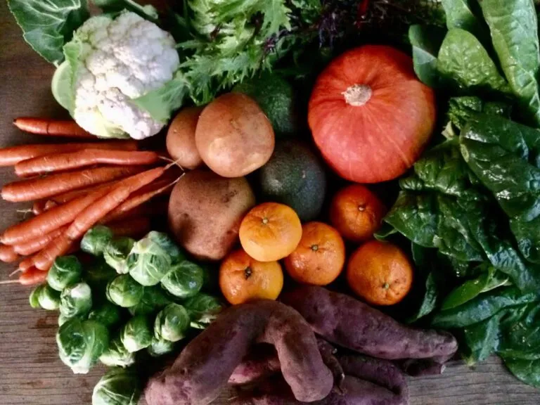 Links to Rutiz Family Farms