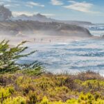 Surfing Cambria