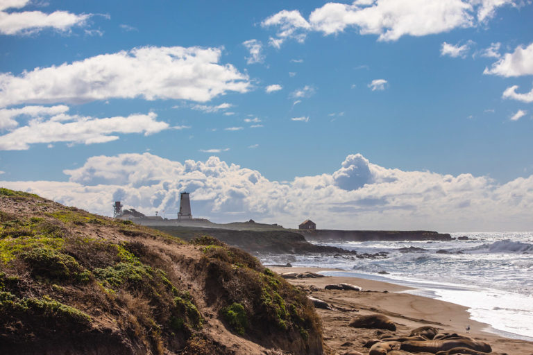 Tide Pools and Sea Life of San Simeon Highway 1 Road Trip