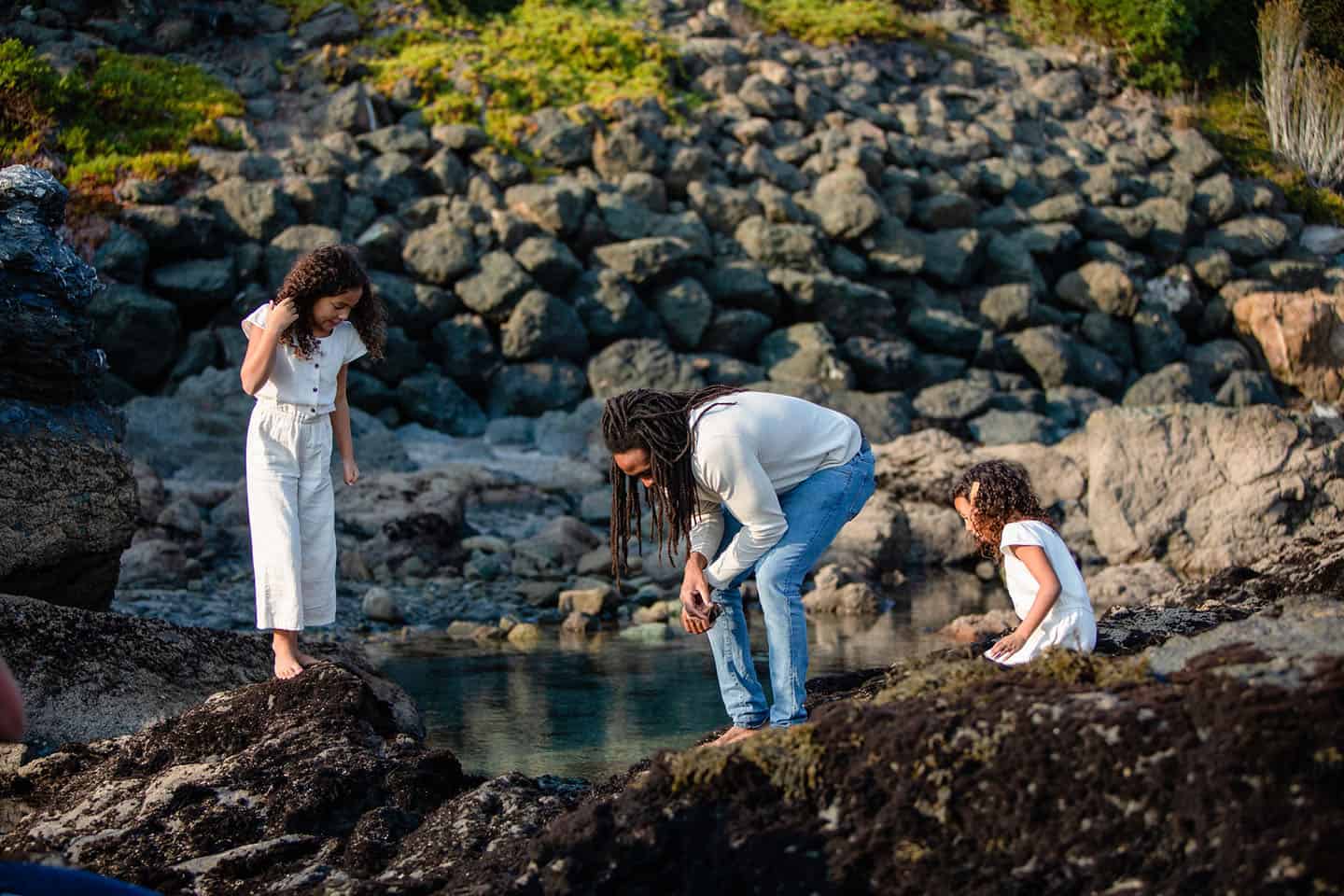 Tide Pools and Sea Life of San Simeon Highway 1 Road Trip