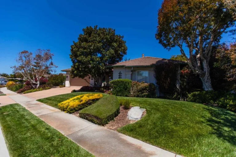 Links to Cypress Paradise