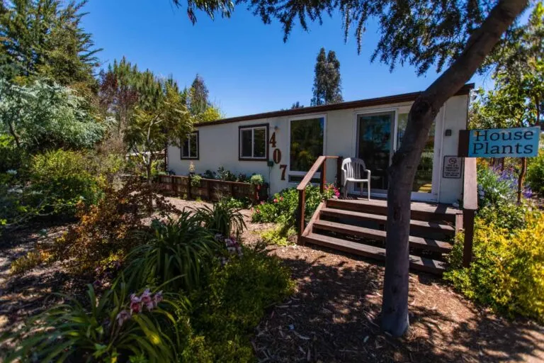 Links to Orchid House of Arroyo Grande