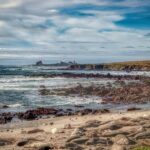 Best Parks in San Simeon and Ragged Point