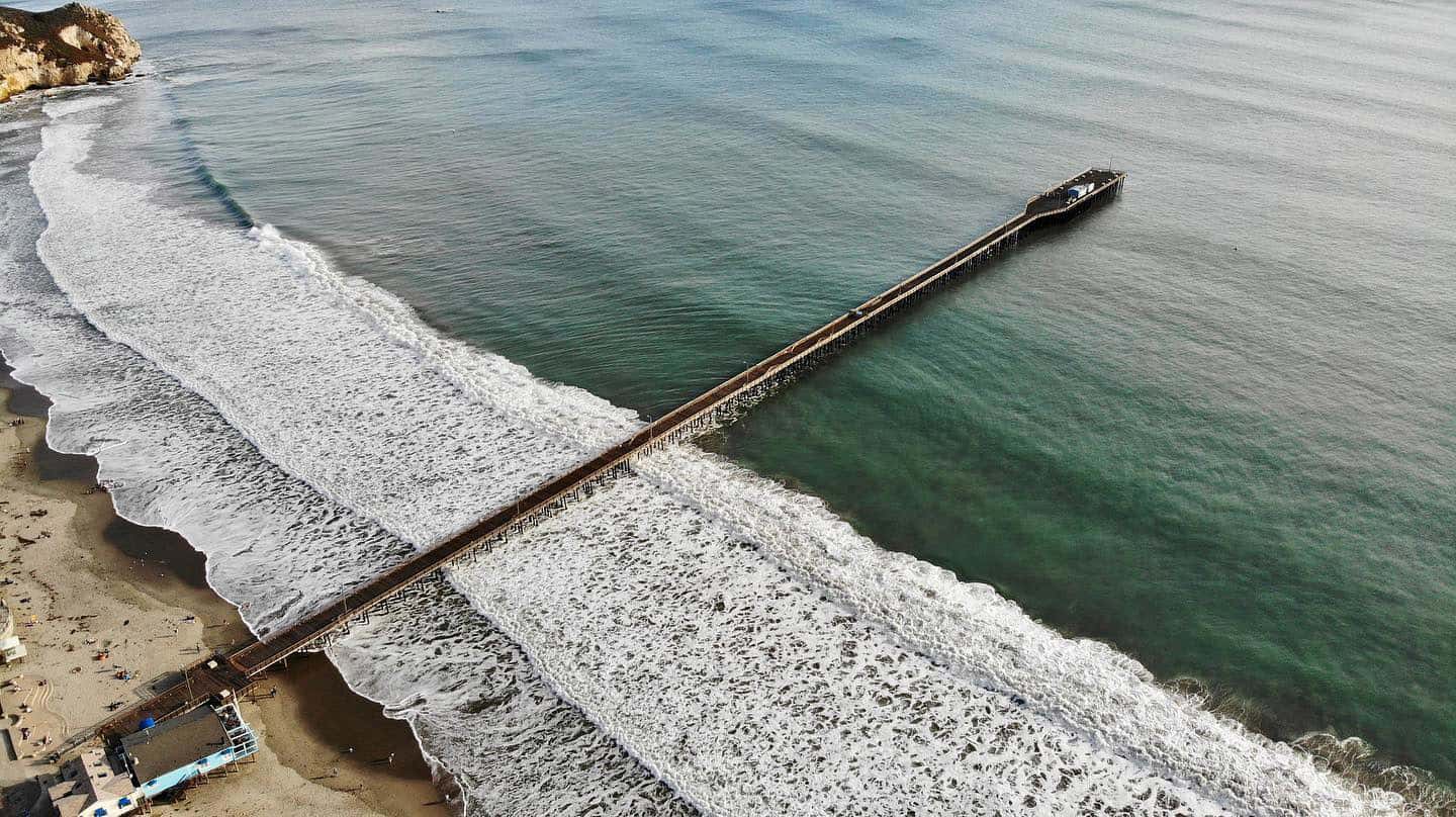 White Croaker - Pier Fishing in California