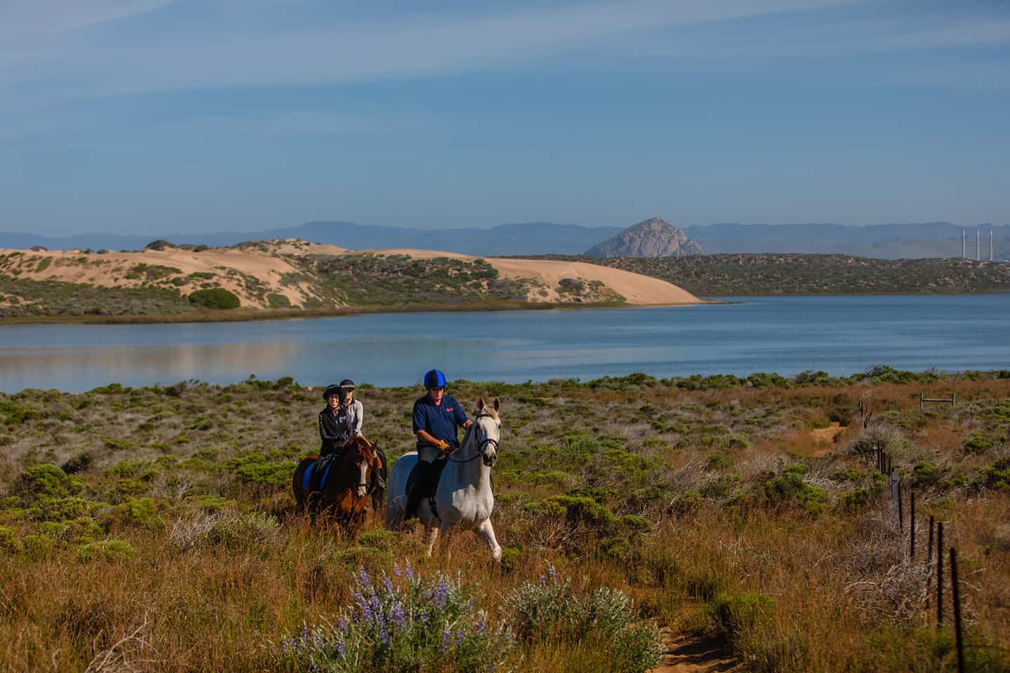 Los Osos Horseback Riding