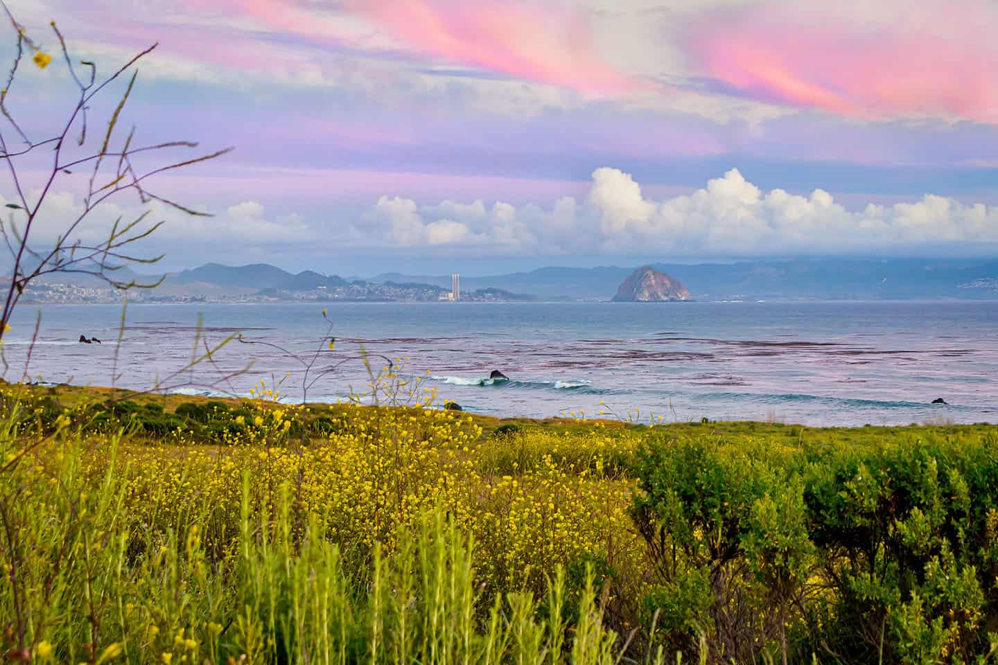 Estero Bluffs with view of Morro Rock