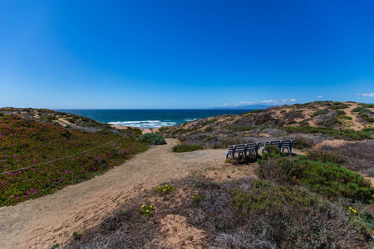 whale watching tour morro bay