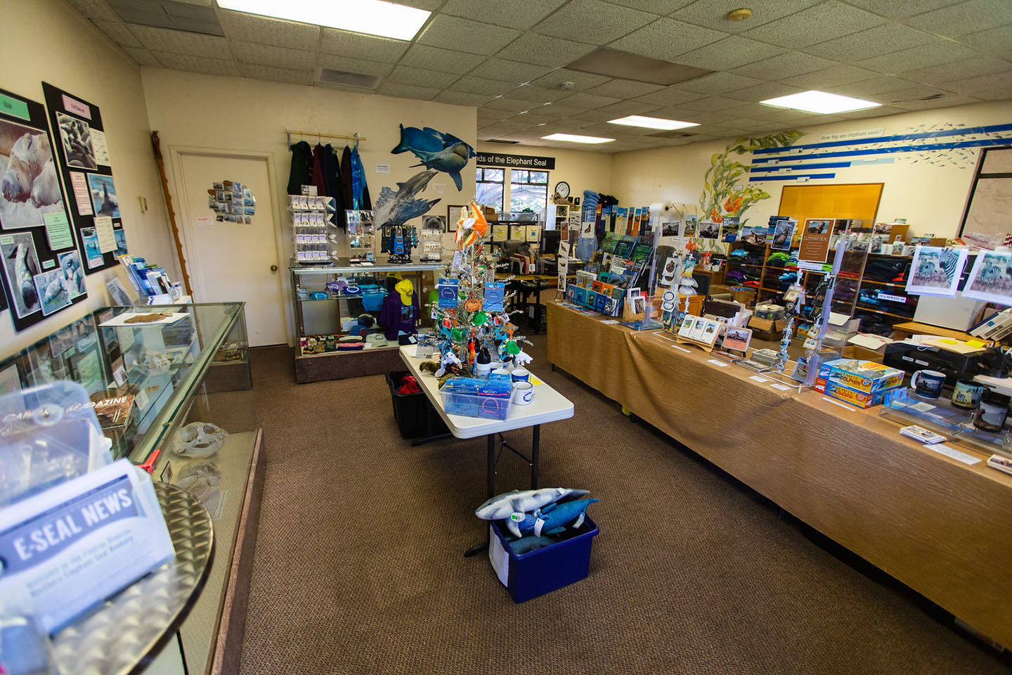 Friends of the Elephant Seal Visitor Center