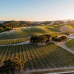 Best of Wine Tasting in Paso Robles