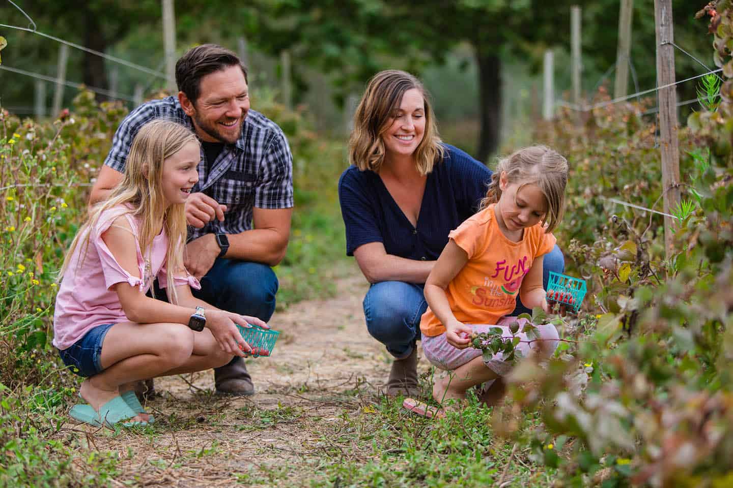 Avila Valley Barn Berry Picking