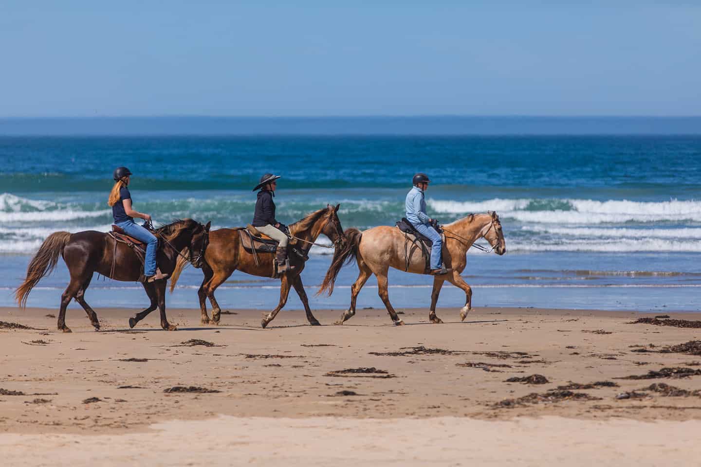 Oceano Horseback Riding