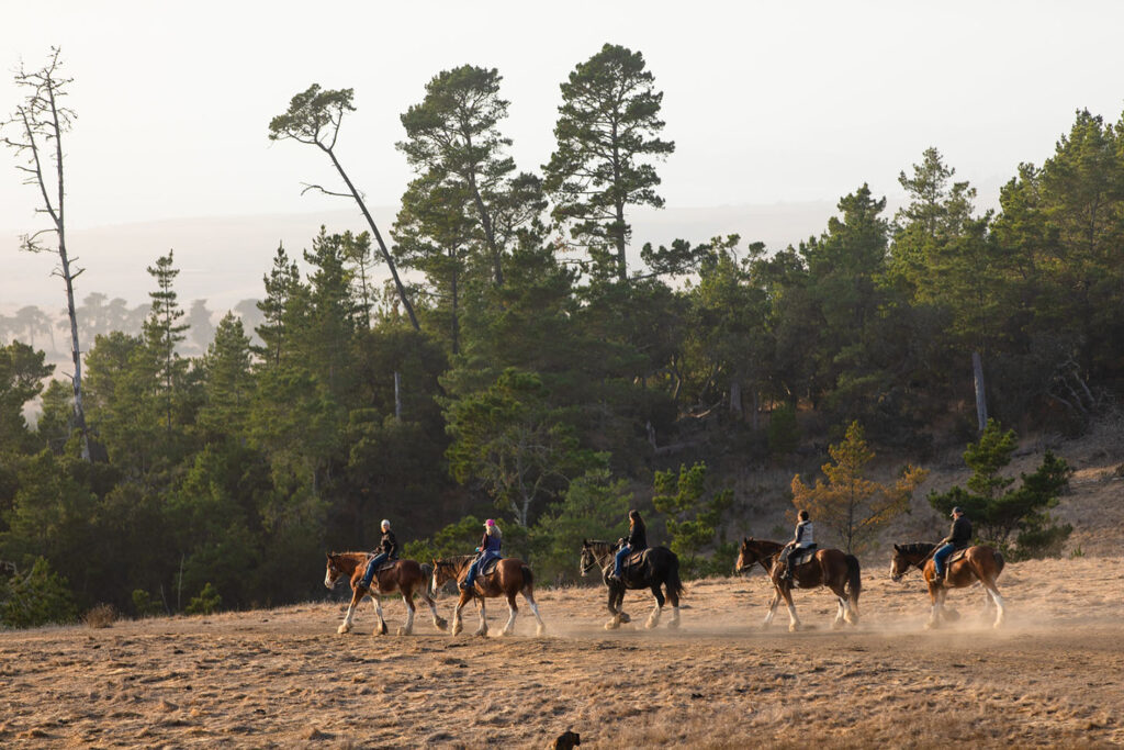 Horseback Riding - Highway 1 Road Trip