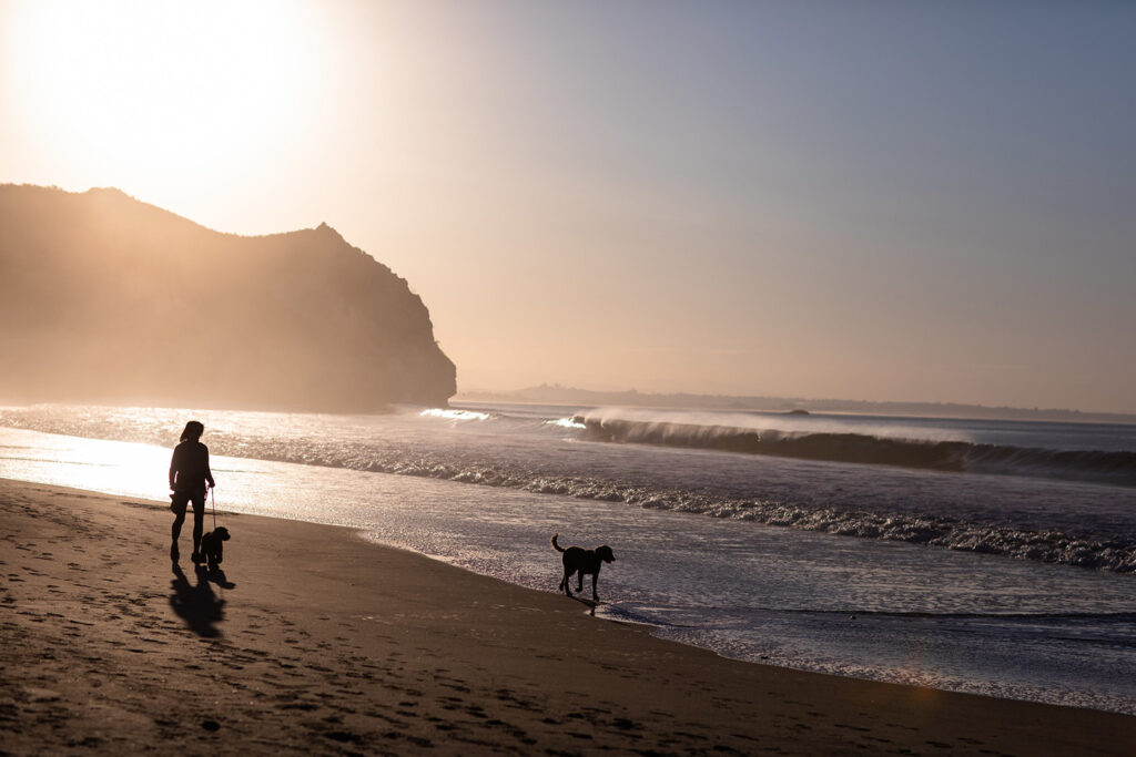 Avila Beach Sunrise with dogs
