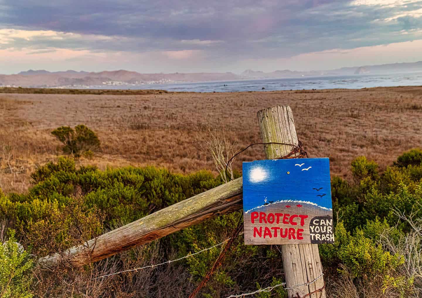 Estero Bluffs Sign Photo by Danna Dykstra-Coy