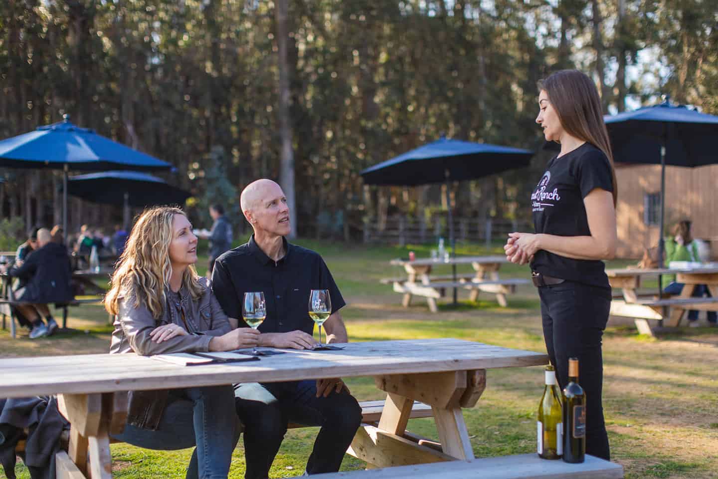 Hearst Ranch Winery Outdoor Seating Area