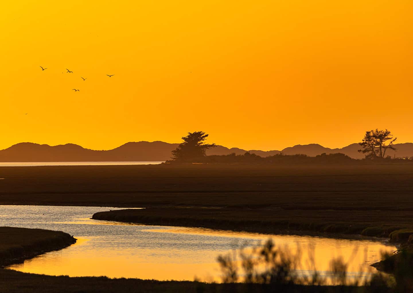 Los Osos Estuary Photo by Danna Dykstra-Coy