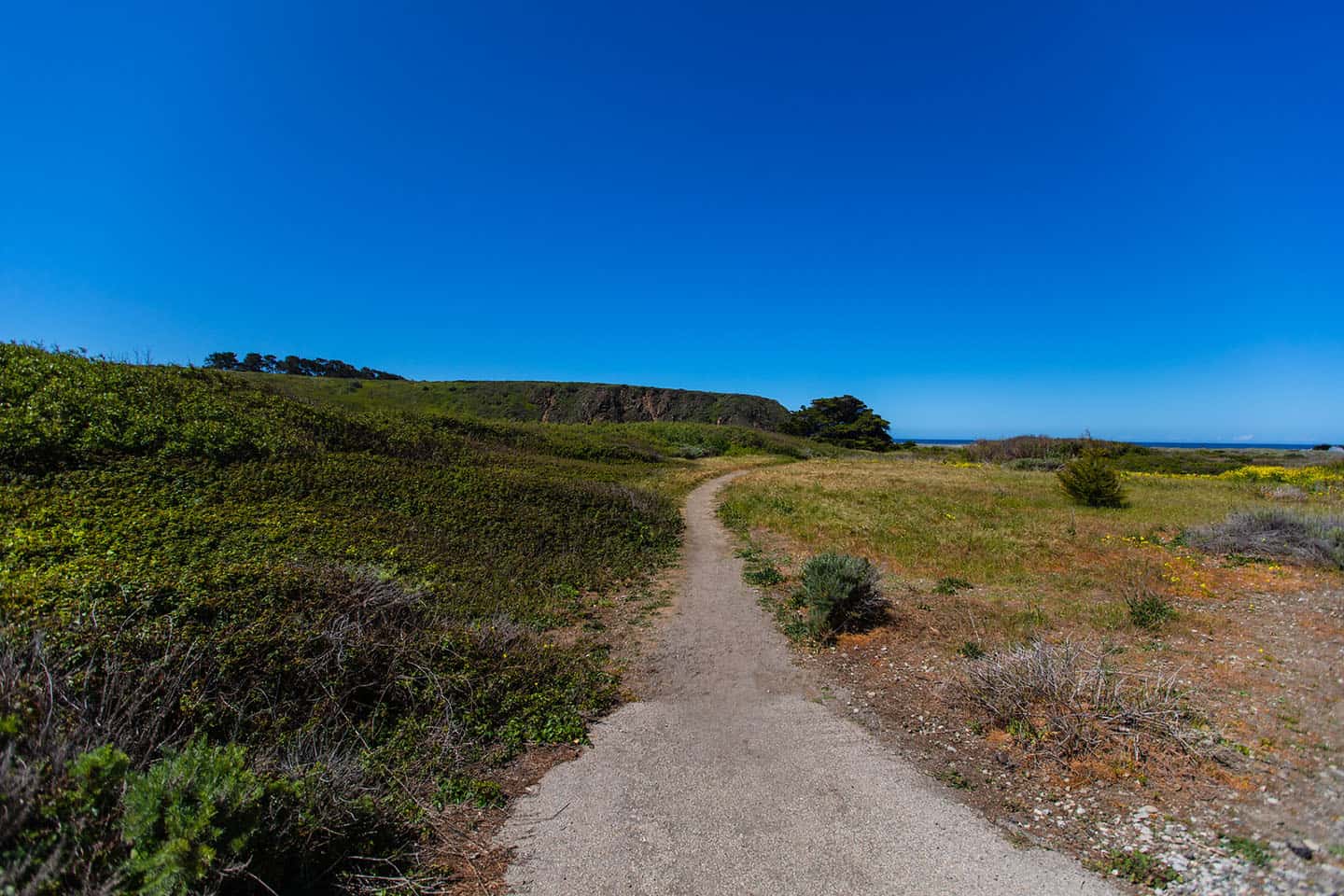 San Carpoforo Creek Trail