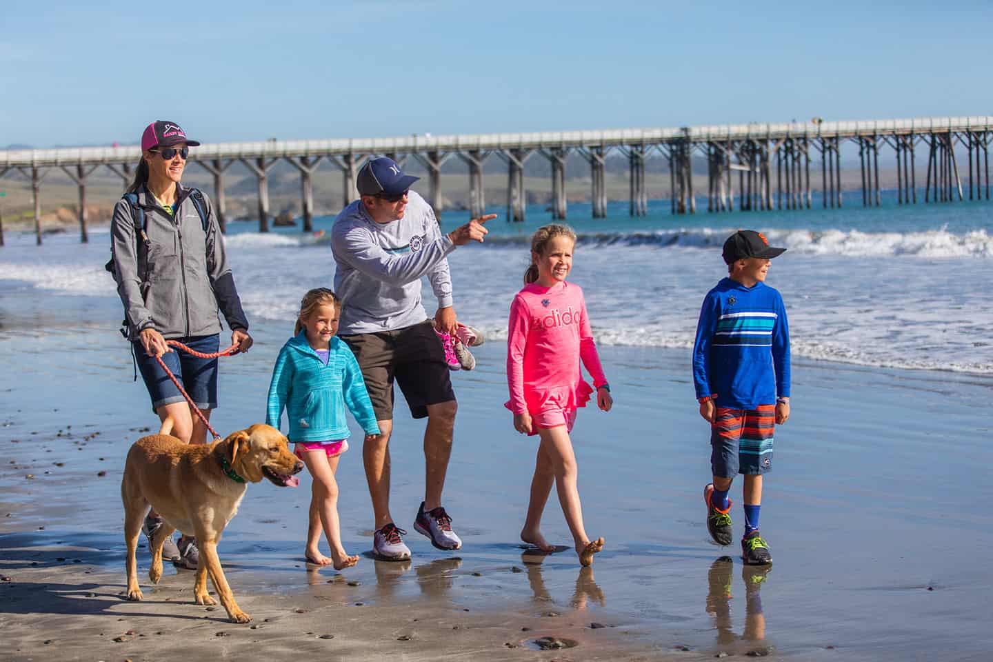 WR Hearst Beach with dog