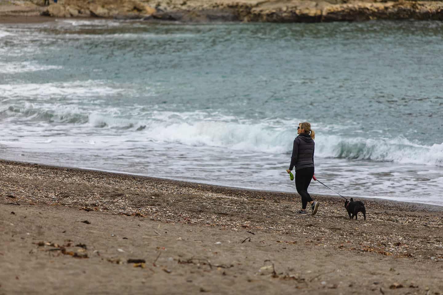 Walking dog Montana de Oro