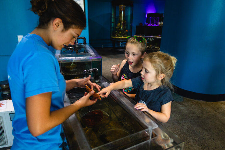 Links to Central Coast Aquarium Spring Camp