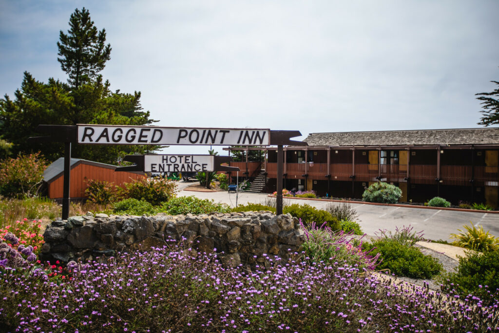 Ragged Point Inn wildflowers