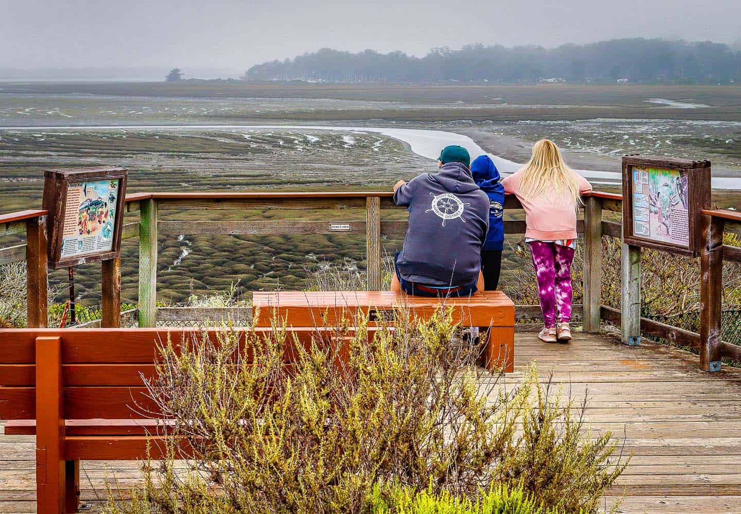 Elfin Forest Morro Bay Estuary