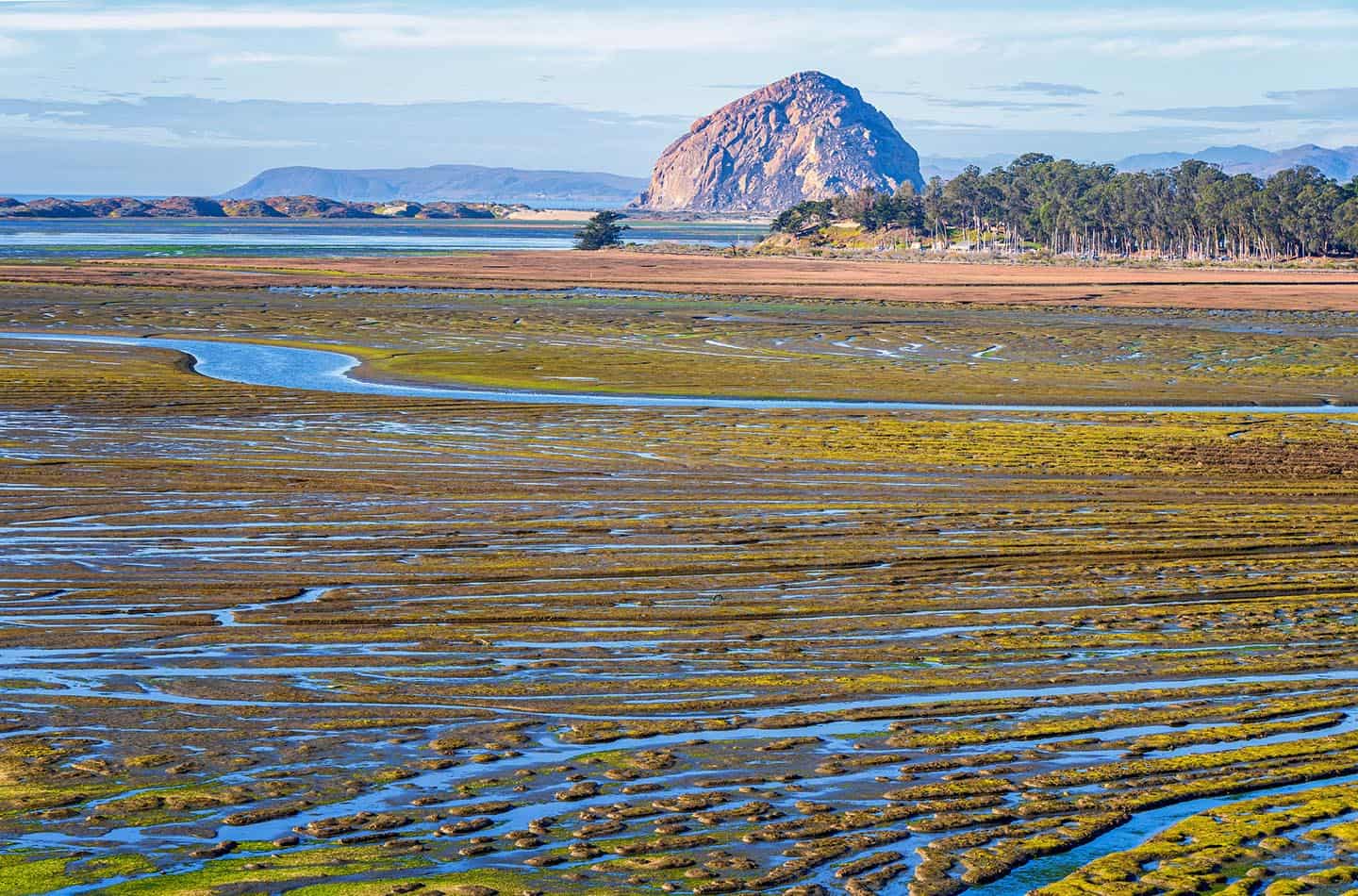 Morro Bay Low Tide Elfin Forest Photo credit required to Michael Sheltzer