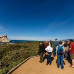Back to Nature Tours Along Highway 1