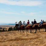 A group riding Clydesdale horses near the coast