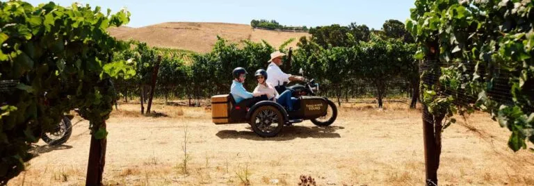 three people on a motorcycle and sidecar taking a vineyard tour