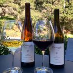 Winemaker's Dinner Feat. Cutruzzola Vineyards