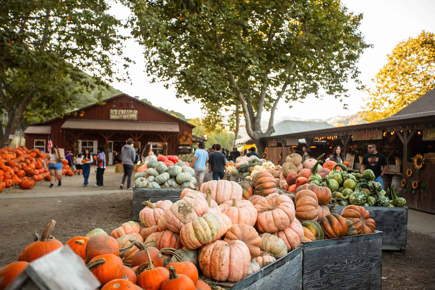 Avila Valley Barn Fall