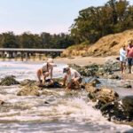 Coolcationing Highway 1: California's Ultimate Summer Road Trip Guide