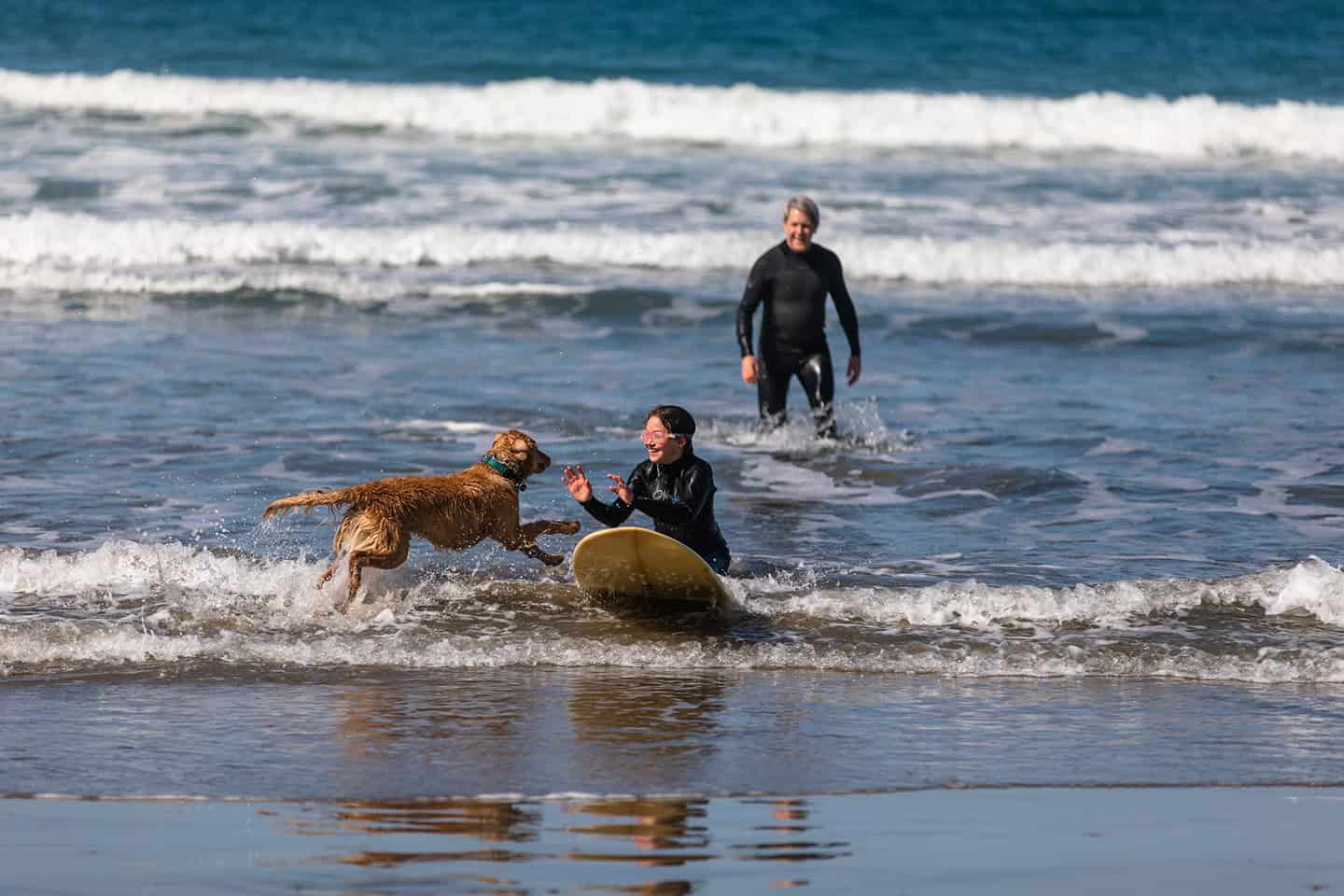 Cayucos Dog Beach Surfing