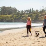 Best Pet Friendly Hotels on Highway 1