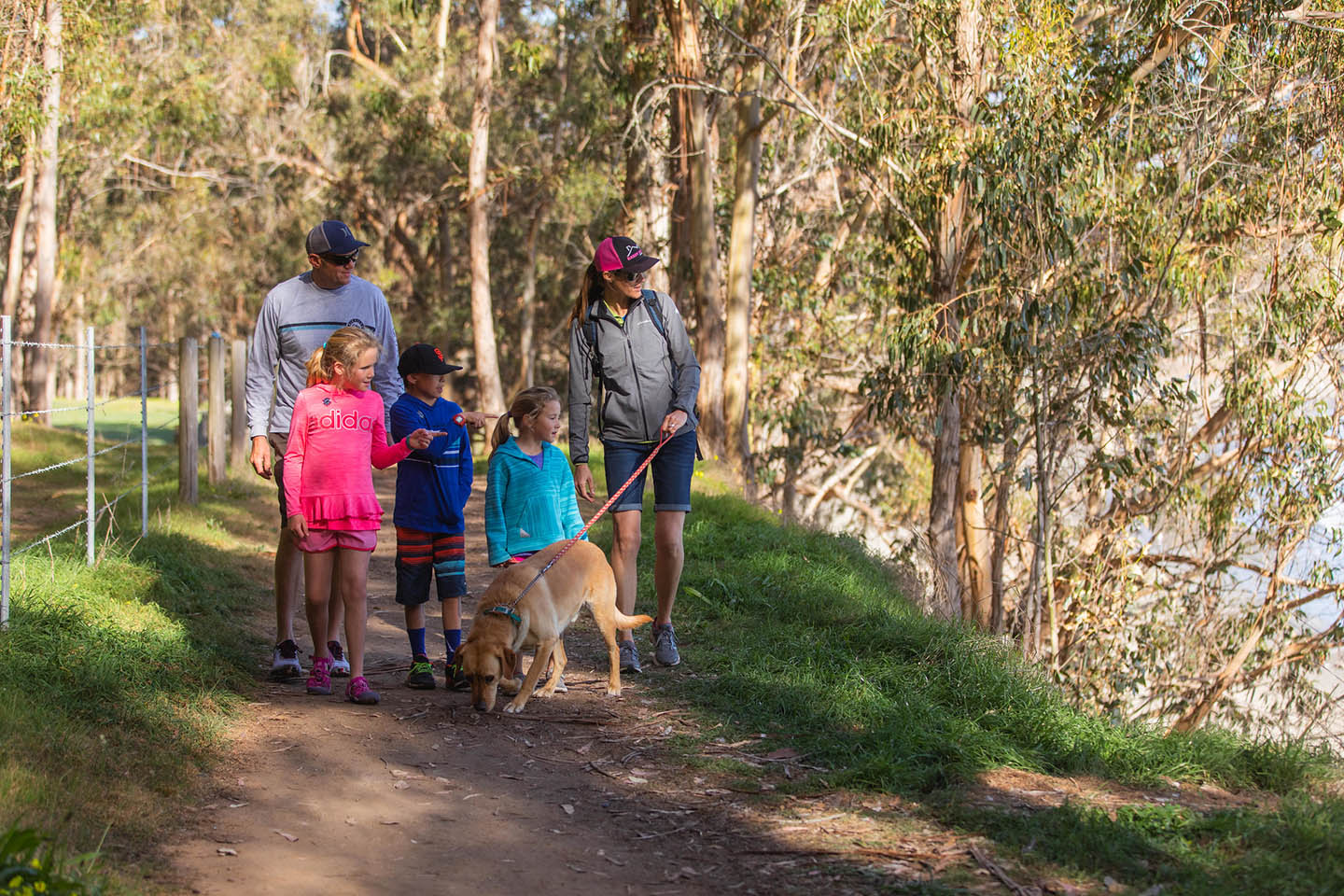 Hiking San Simeon point trail